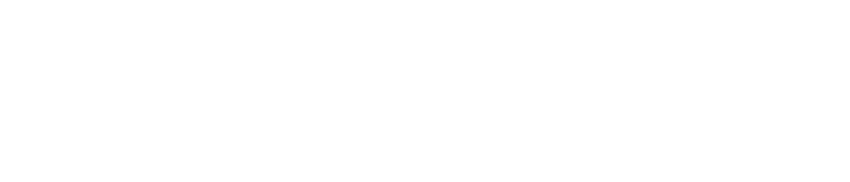 Future Flow Global